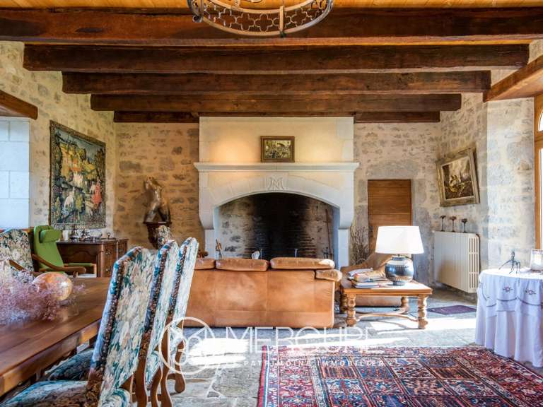 Château Ambeyrac - 5 chambres - 370m²