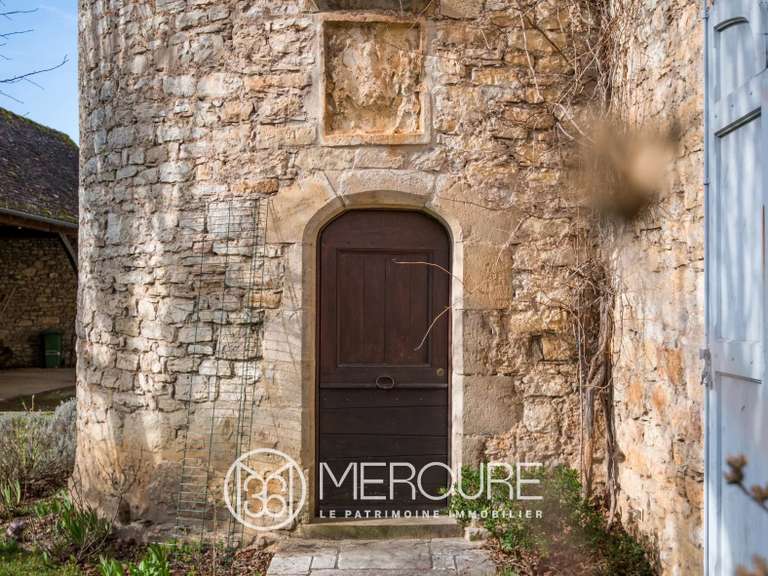 Château Ambeyrac - 5 chambres - 370m²