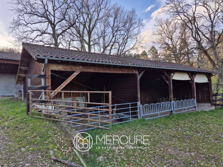 Propriété Ambierle - 5 chambres - 349m²