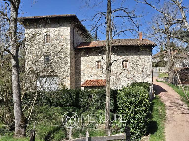 Propriété Ambierle - 5 chambres - 349m²