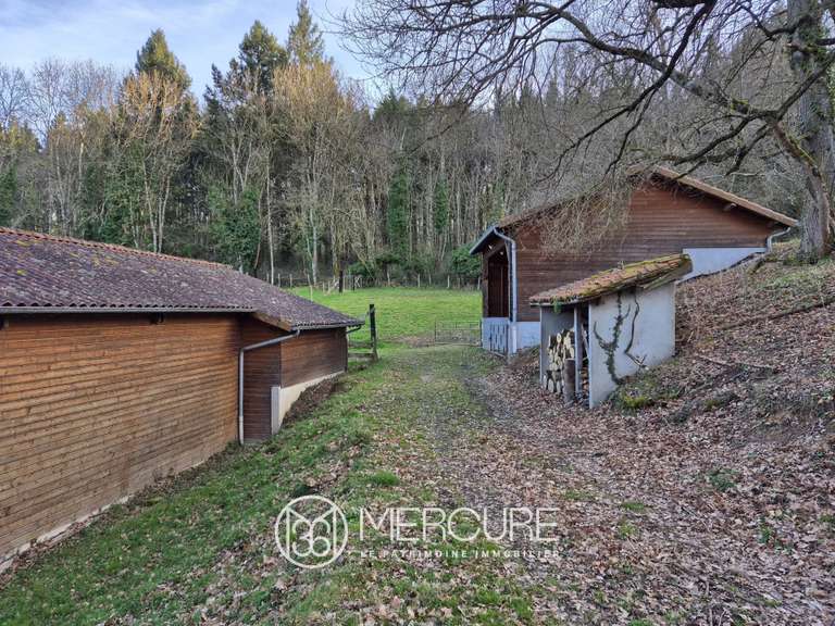 Propriété Ambierle - 5 chambres - 349m²