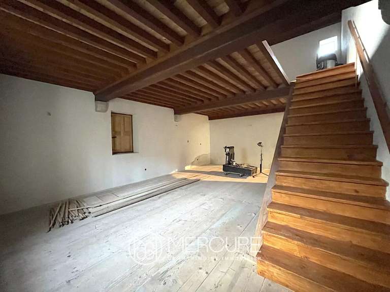 Propriété Ambierle - 5 chambres - 349m²