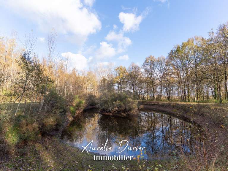 Maison Ambillou - 3 chambres - 140m²