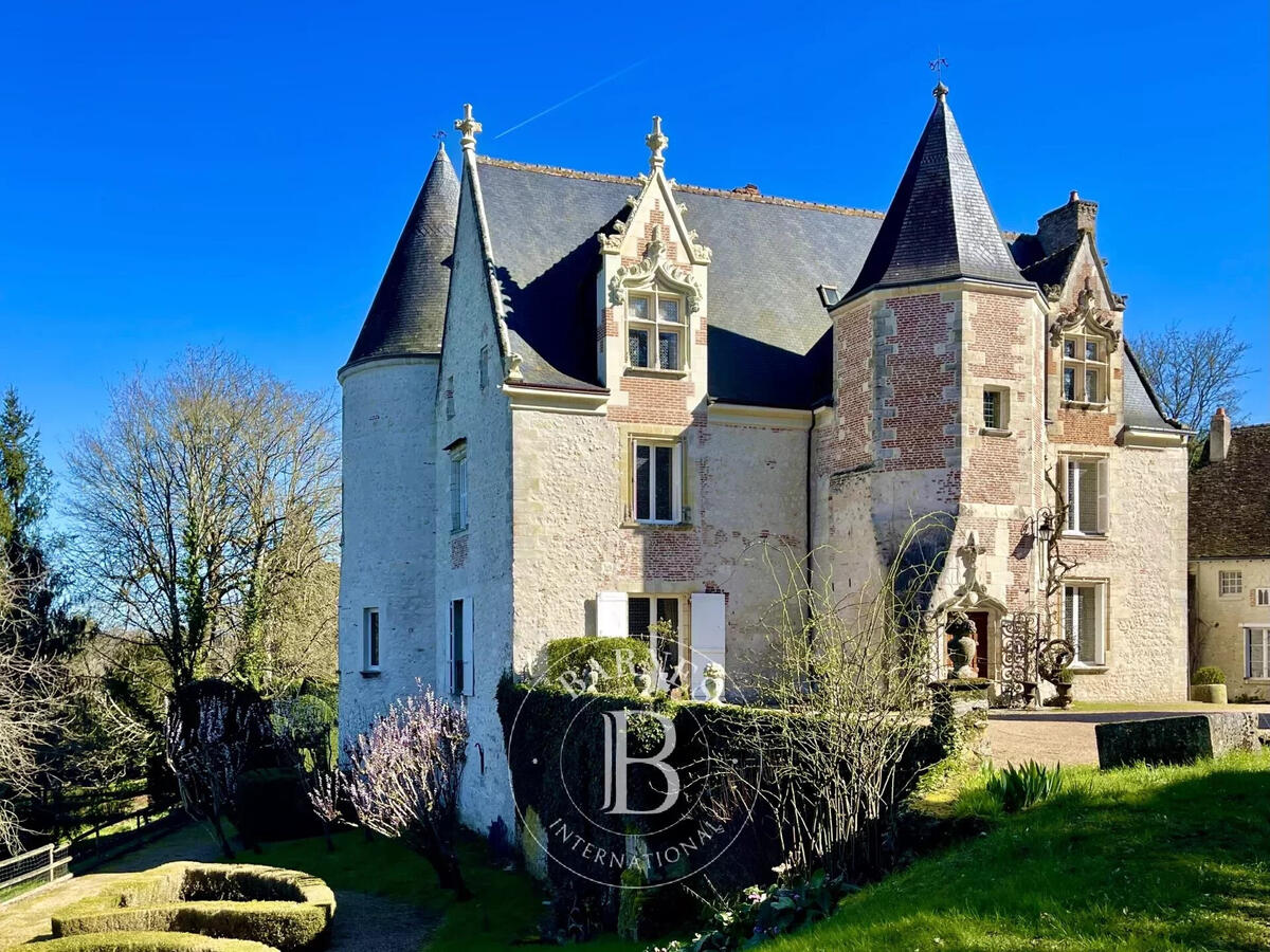 Castle Amboise