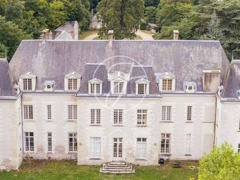 Château Amboise - 9 chambres - 1430m²