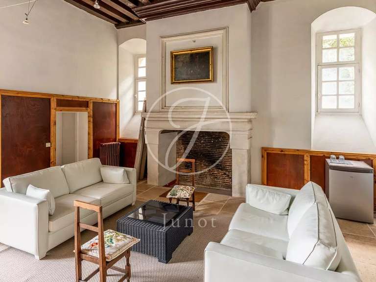 Château Amboise - 9 chambres - 1430m²