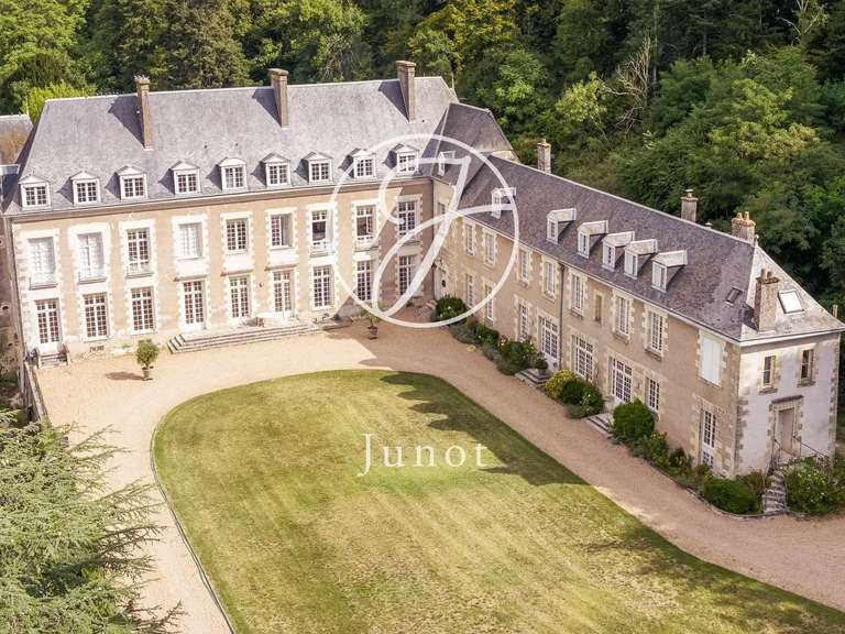 Castle Amboise - 9 bedrooms - 1430m²