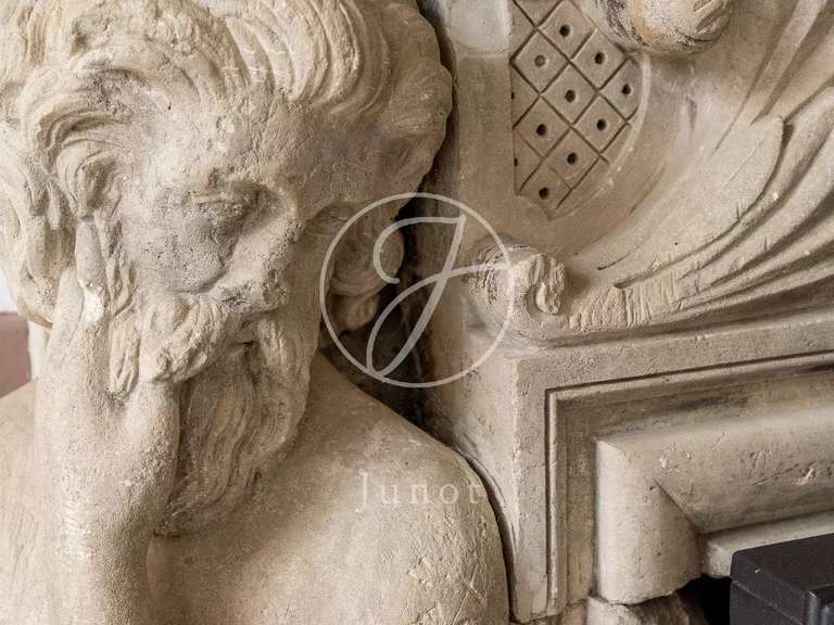 Castle Amboise - 9 bedrooms - 1430m²