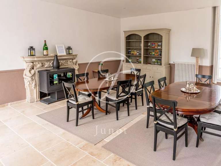 Castle Amboise - 9 bedrooms - 1430m²