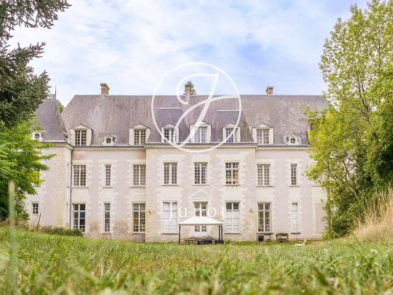 Château Amboise - 9 chambres - 1430m²