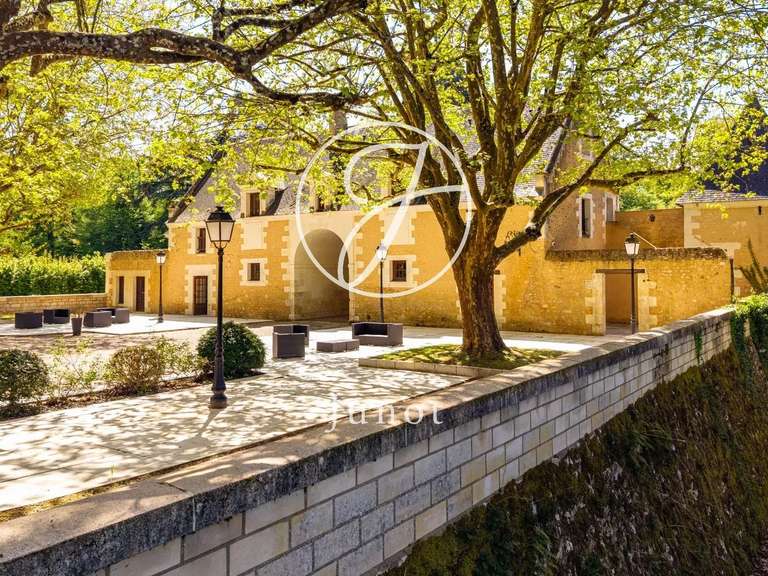 Château Amboise - 24 chambres - 2100m²