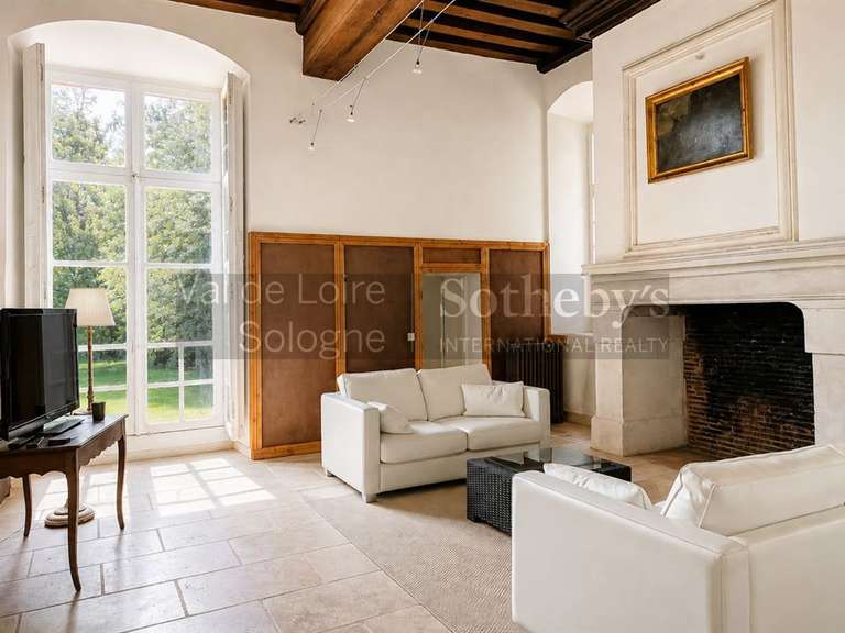 Château Amboise - 8 chambres - 1125m²