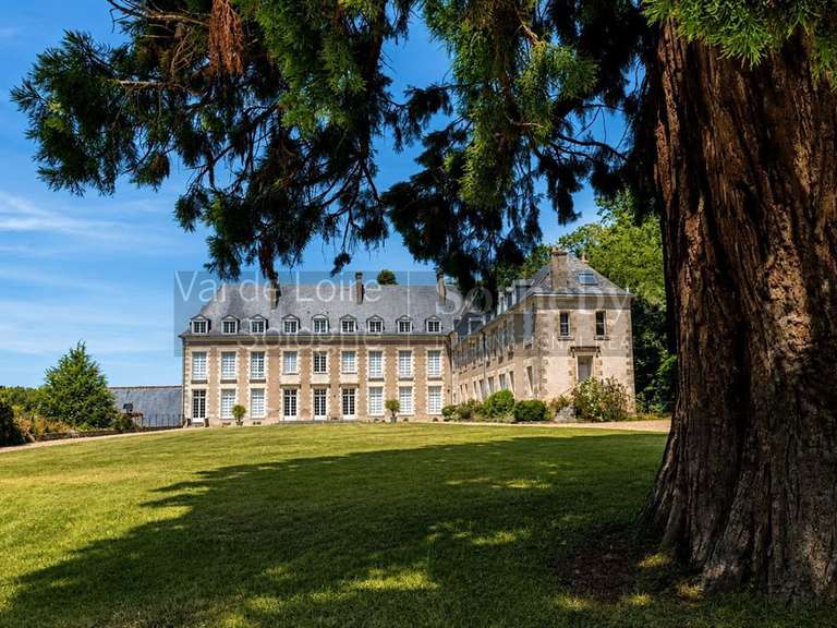 Château Amboise - 8 chambres - 1125m²
