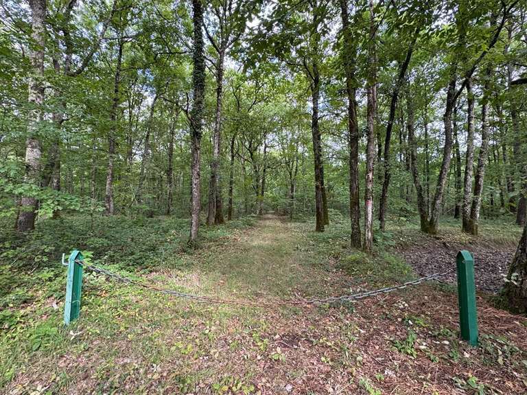 Maison Amboise - 4 chambres - 330m²