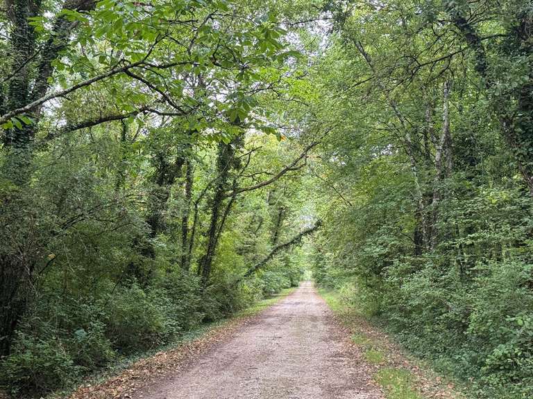 Maison Amboise - 4 chambres - 330m²
