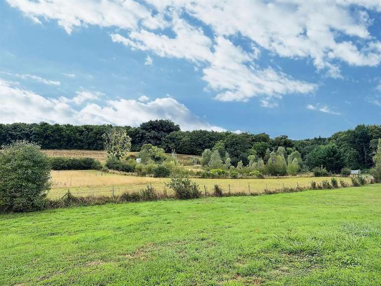 Maison Amboise - 4 chambres - 330m²