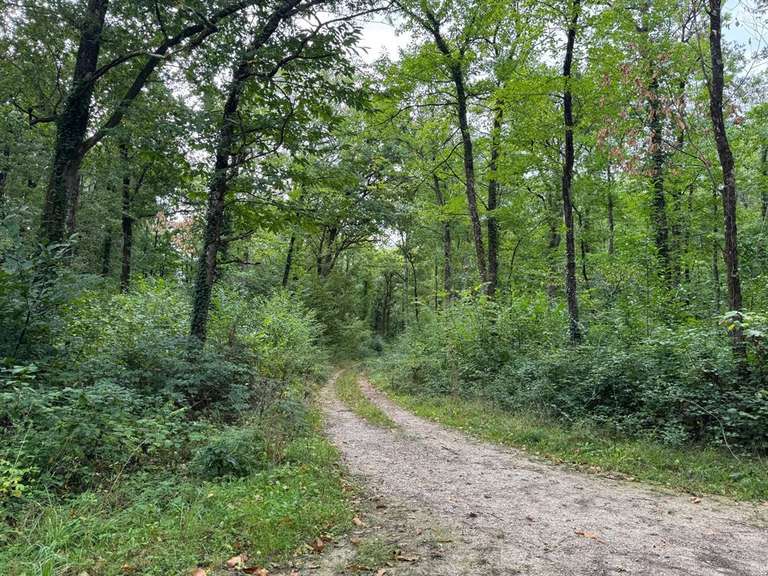 Maison Amboise - 4 chambres - 330m²