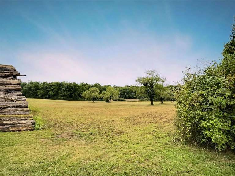 Maison Amboise - 4 chambres - 330m²