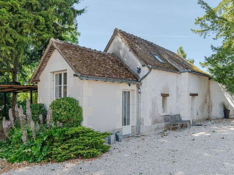 House Amboise - 7 bedrooms - 400m²