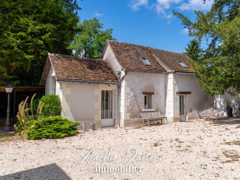 Maison Amboise - 7 chambres - 400m²