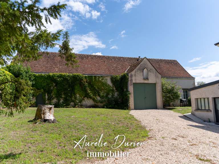 Maison Amboise - 7 chambres - 400m²