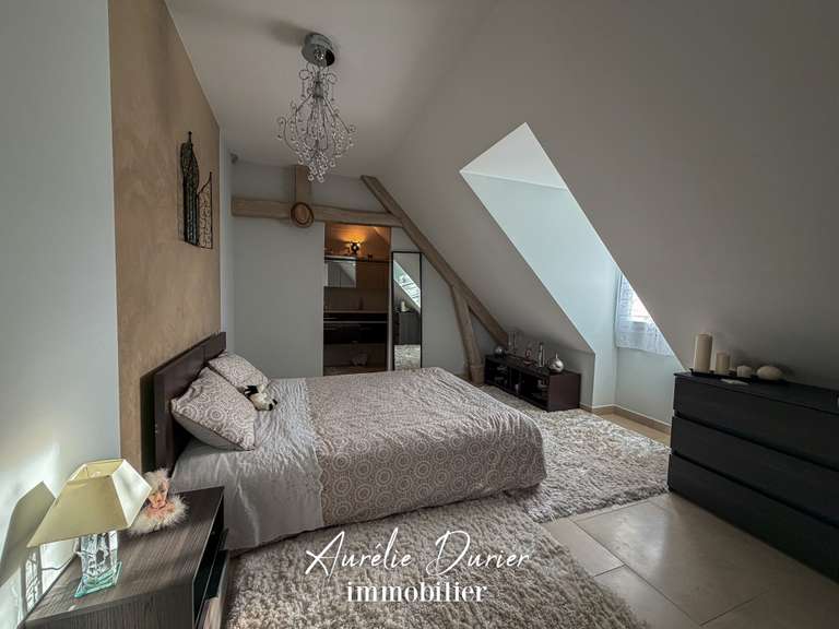 Maison Amboise - 7 chambres - 501m²