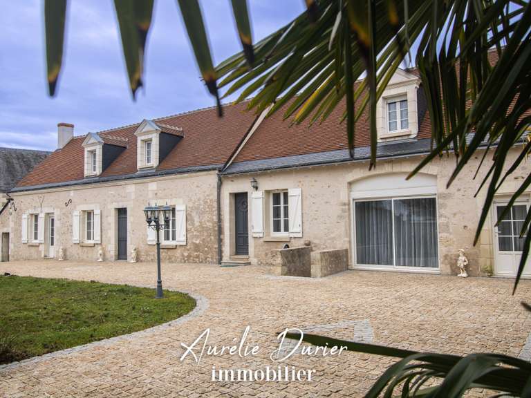 Maison Amboise - 7 chambres - 501m²