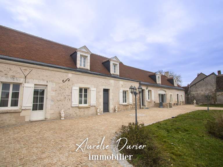 Maison Amboise - 7 chambres - 501m²