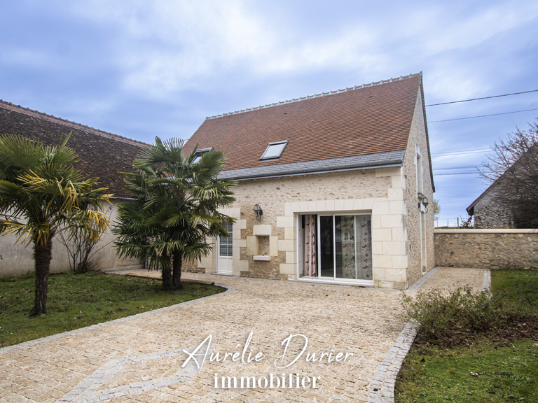 Maison Amboise - 7 chambres - 501m²
