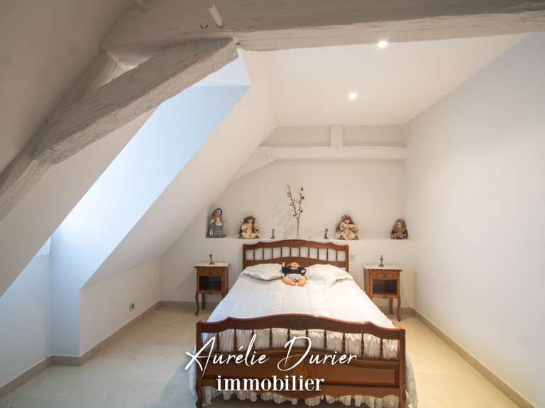 Maison Amboise - 7 chambres - 501m²
