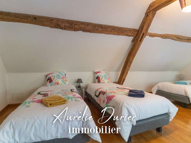 Maison Amboise - 7 chambres - 410m²