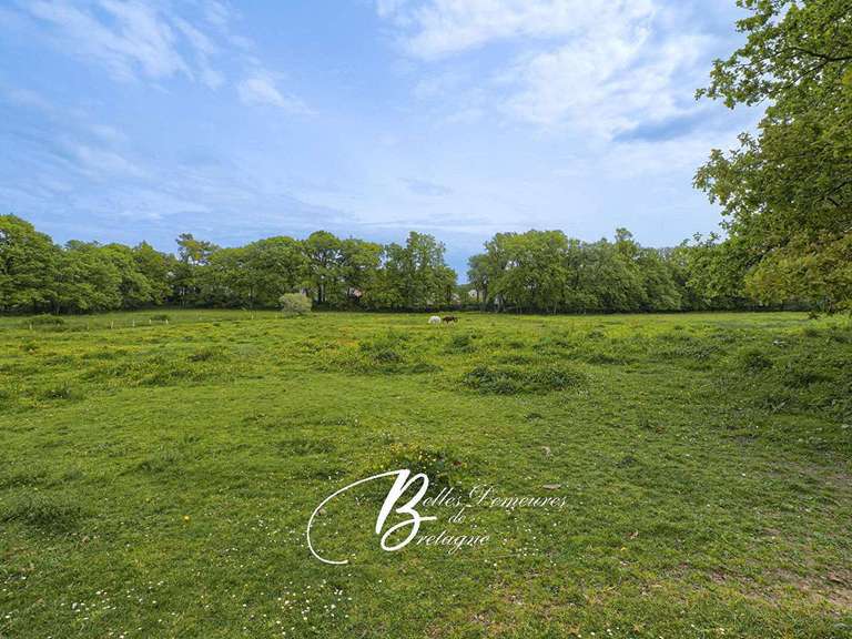 Maison Ambon - 5 chambres