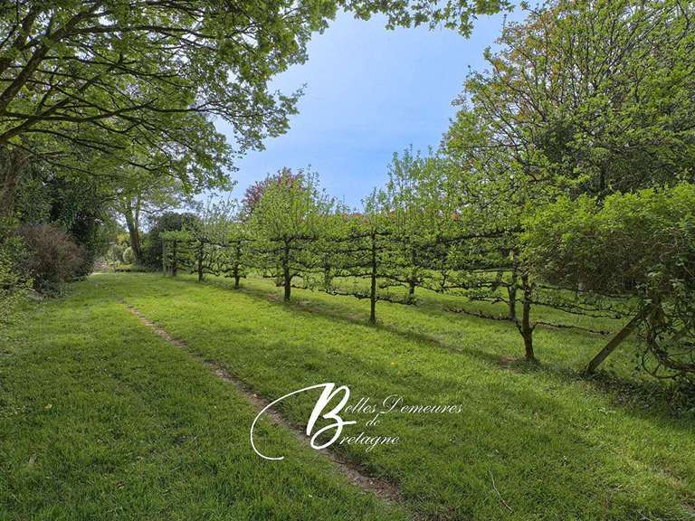 Maison Ambon - 5 chambres