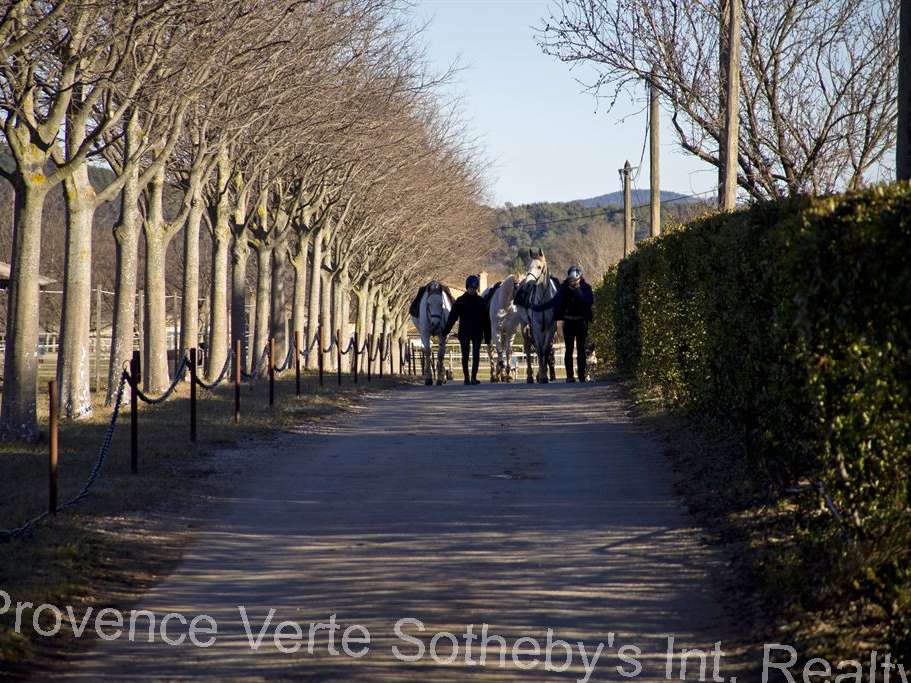 Equestrian property Ampus
