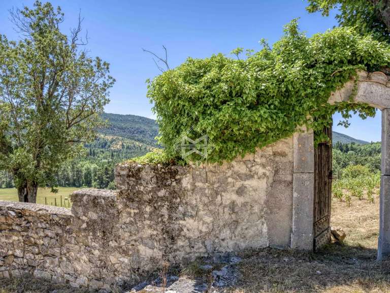 Château Andon - 10 chambres - 1000m²