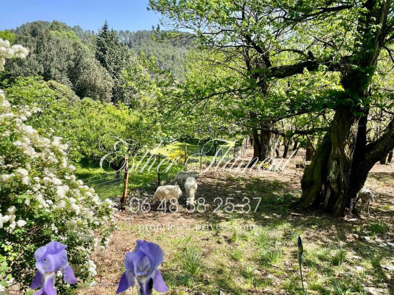 House Anduze - 6 bedrooms