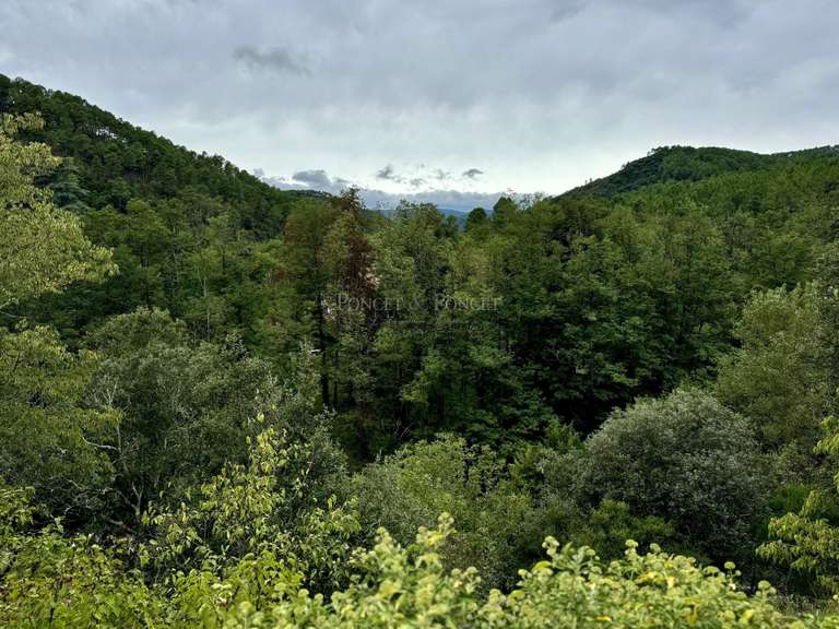 Maison Anduze - 4 chambres - 220m²