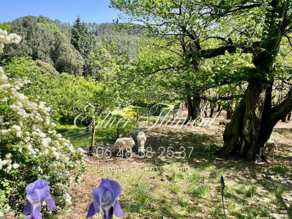 Property Anduze