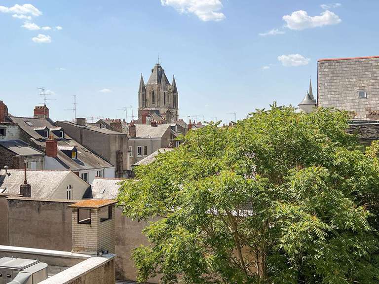 Appartement Angers - 3 chambres
