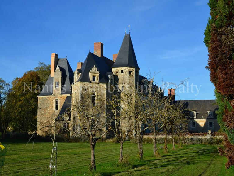 Sale Castle Angers - 14 bedrooms