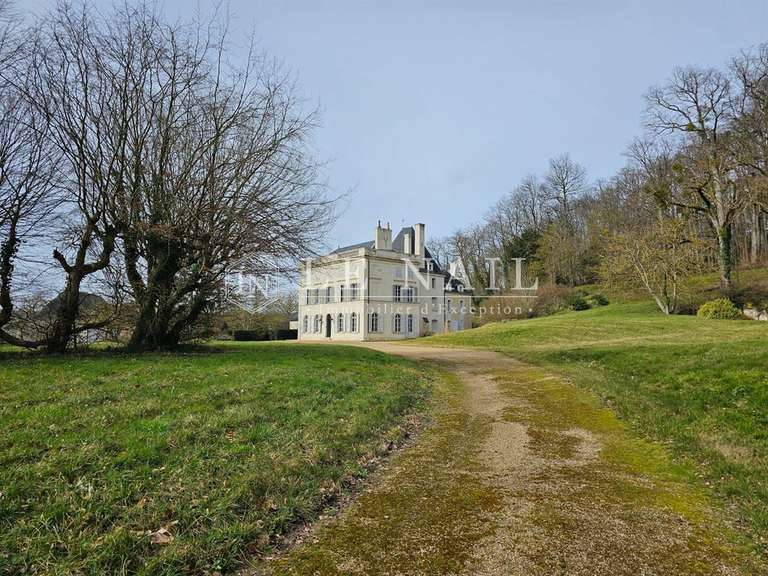 Château Angers - 12 chambres - 600m²