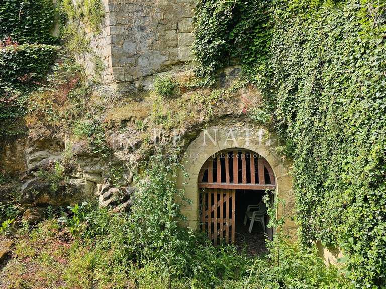 Château Angers - 12 chambres - 600m²