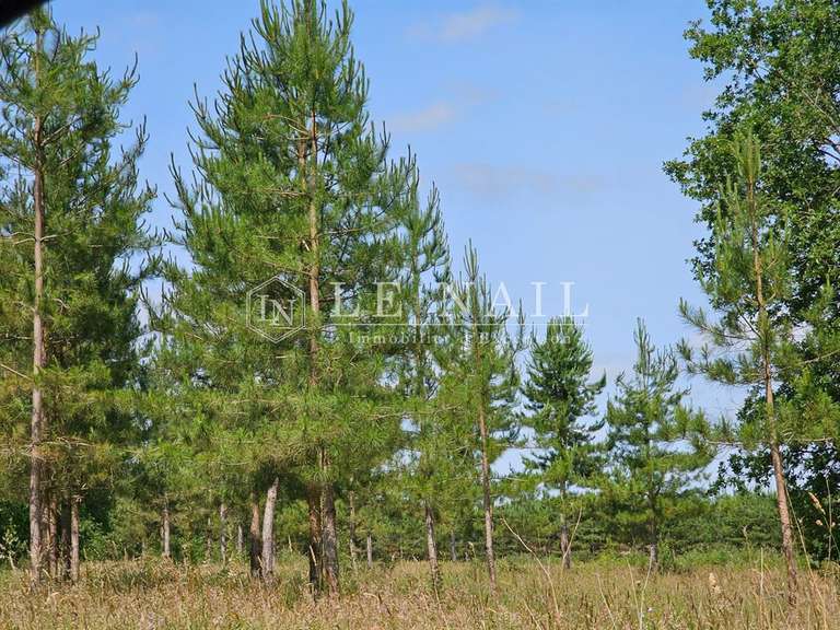 Château Angers - 12 chambres - 600m²