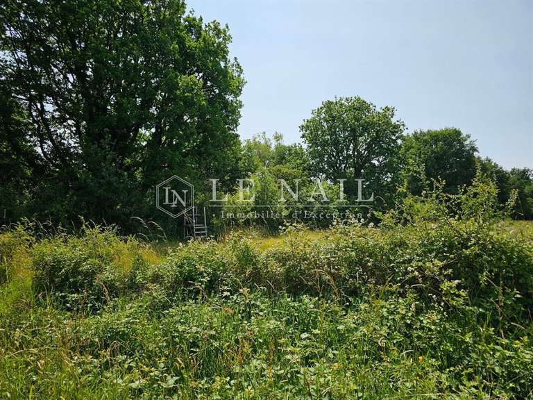 Château Angers - 12 chambres - 600m²