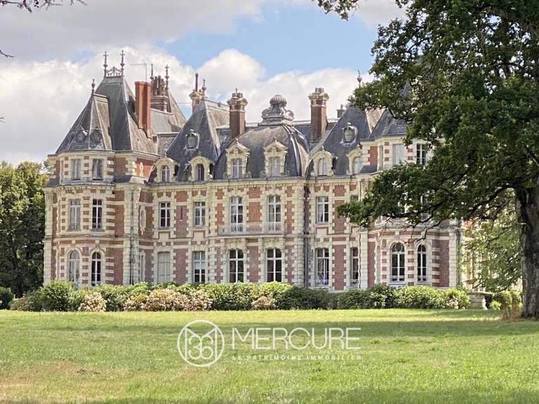 Château Angers - 17 chambres - 2200m²