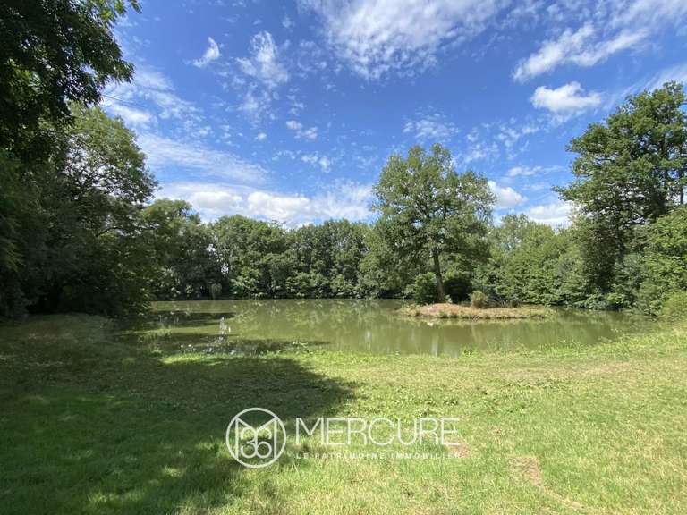 Château Angers - 17 chambres - 2200m²