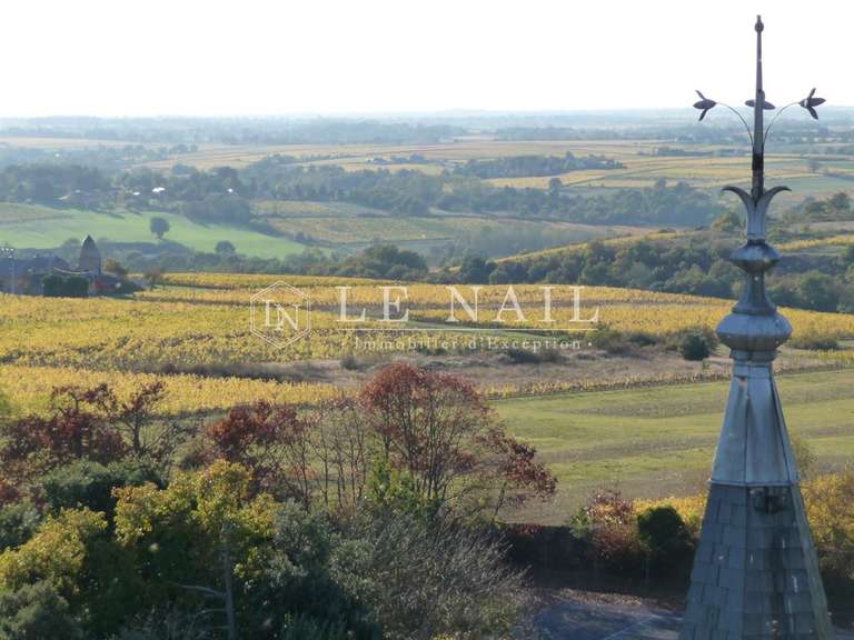 Château Angers - 700m²