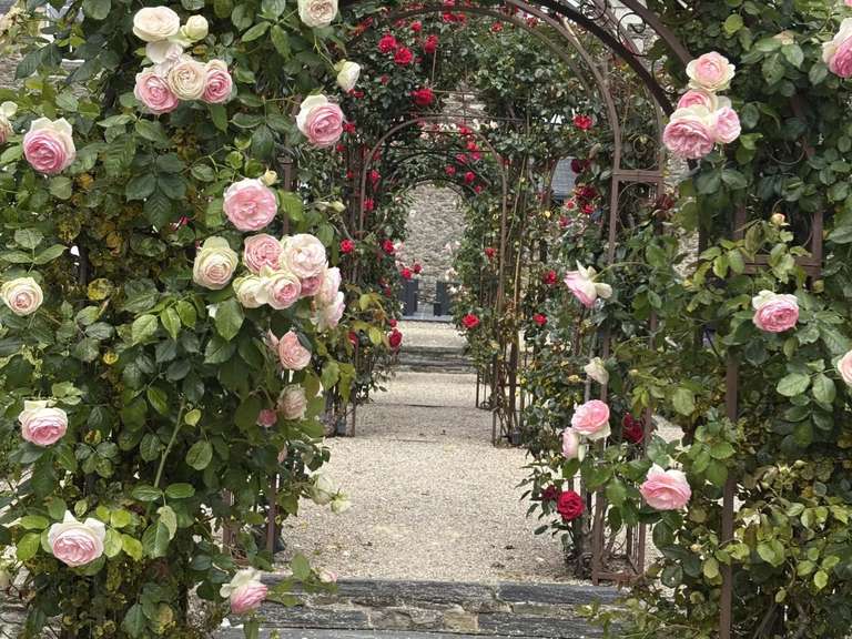 Château Angers - 27 chambres - 4000m²