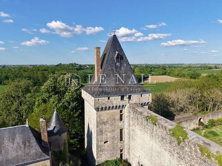 Château Angers - 5 chambres - 450m²