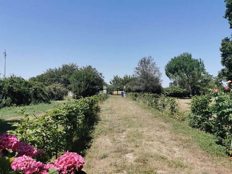 Maison Angers - 10 chambres - 576m²